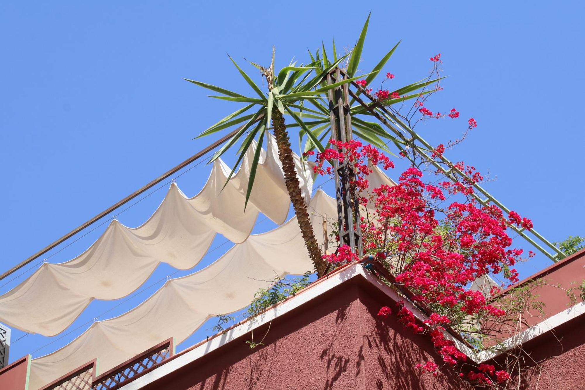 Riad Celia Marrakesh Ngoại thất bức ảnh